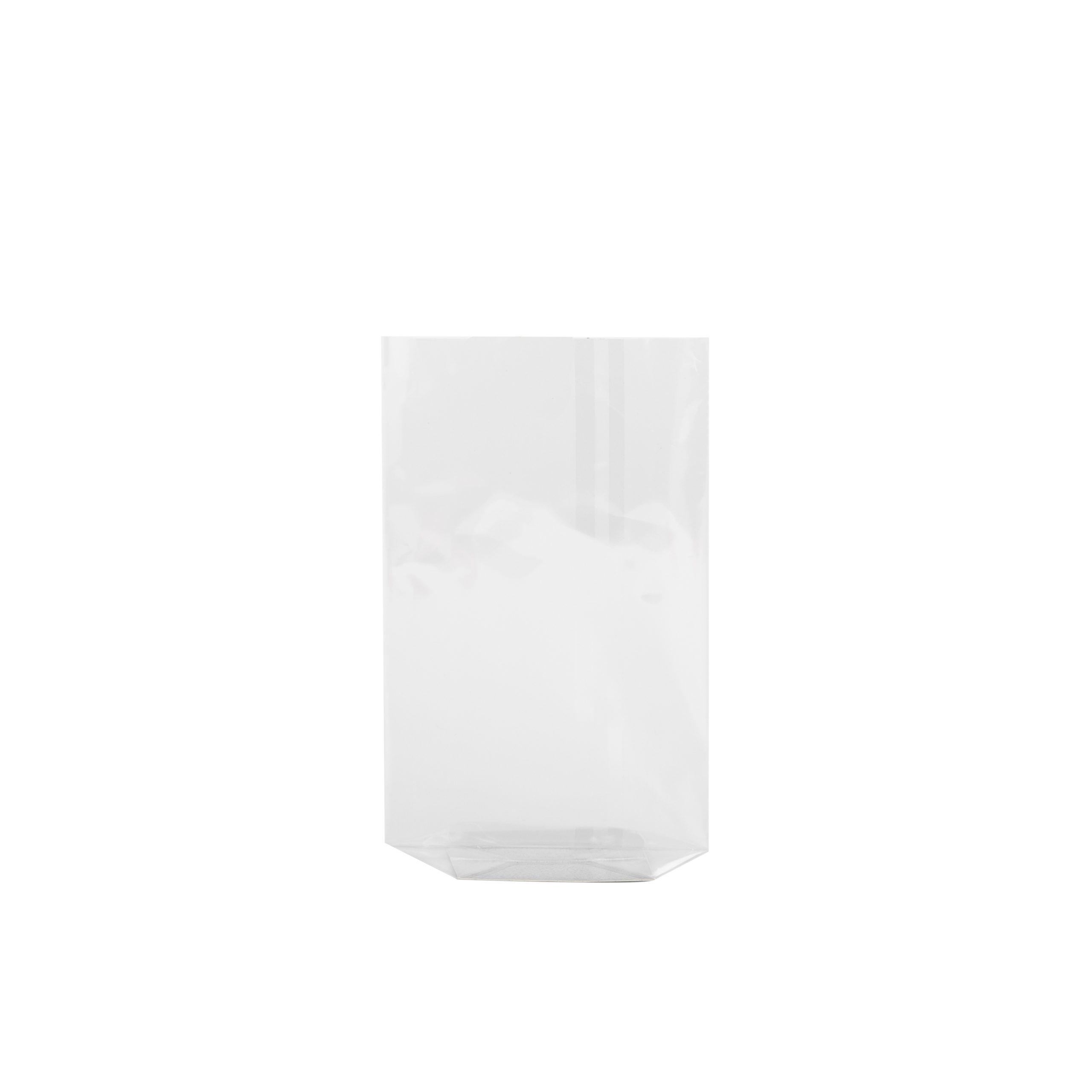 Cellophane Bag – 100 x 180mm.