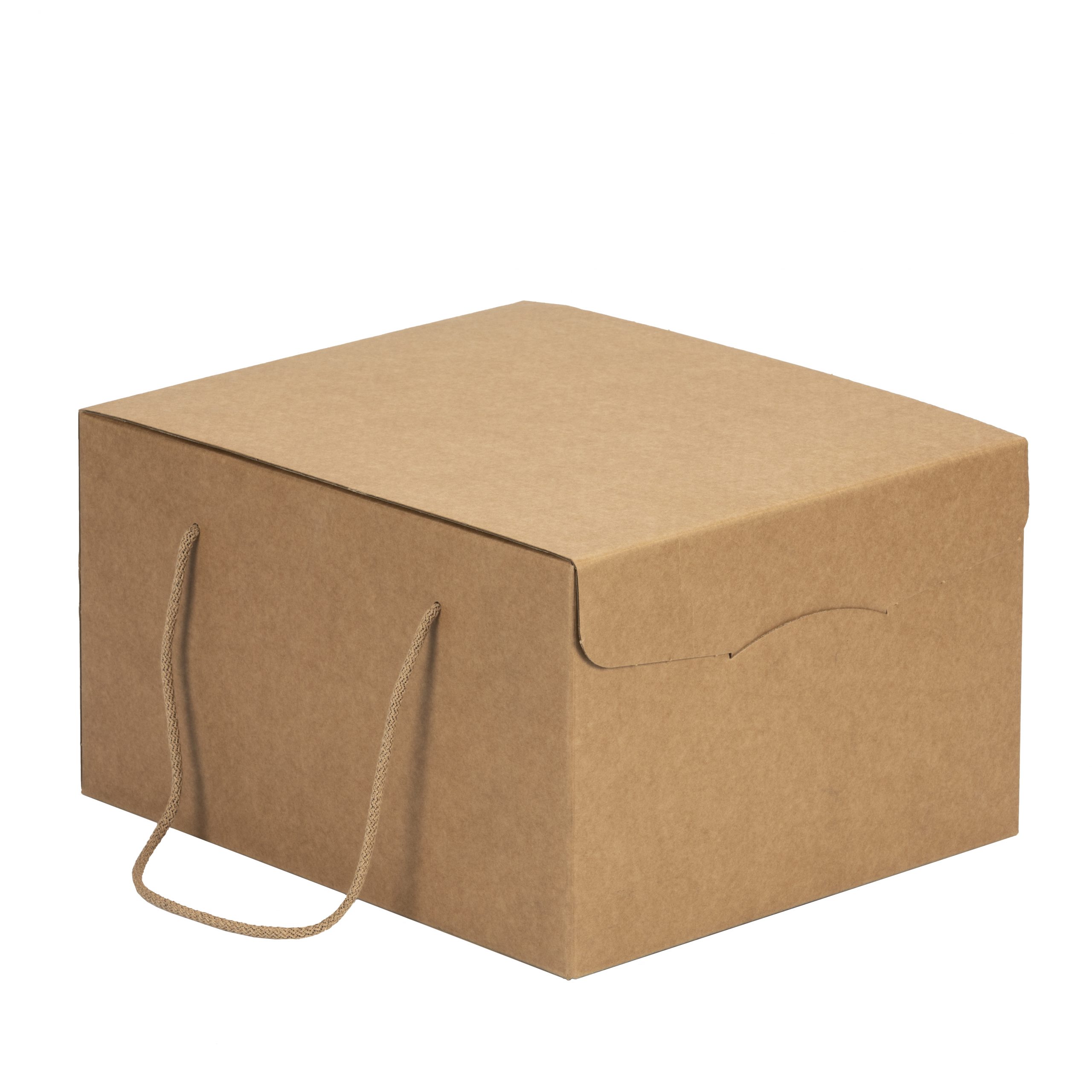 Kraft Gift Box – 290x355x195mm