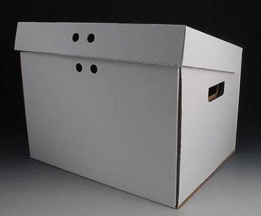 Archival Storage Box