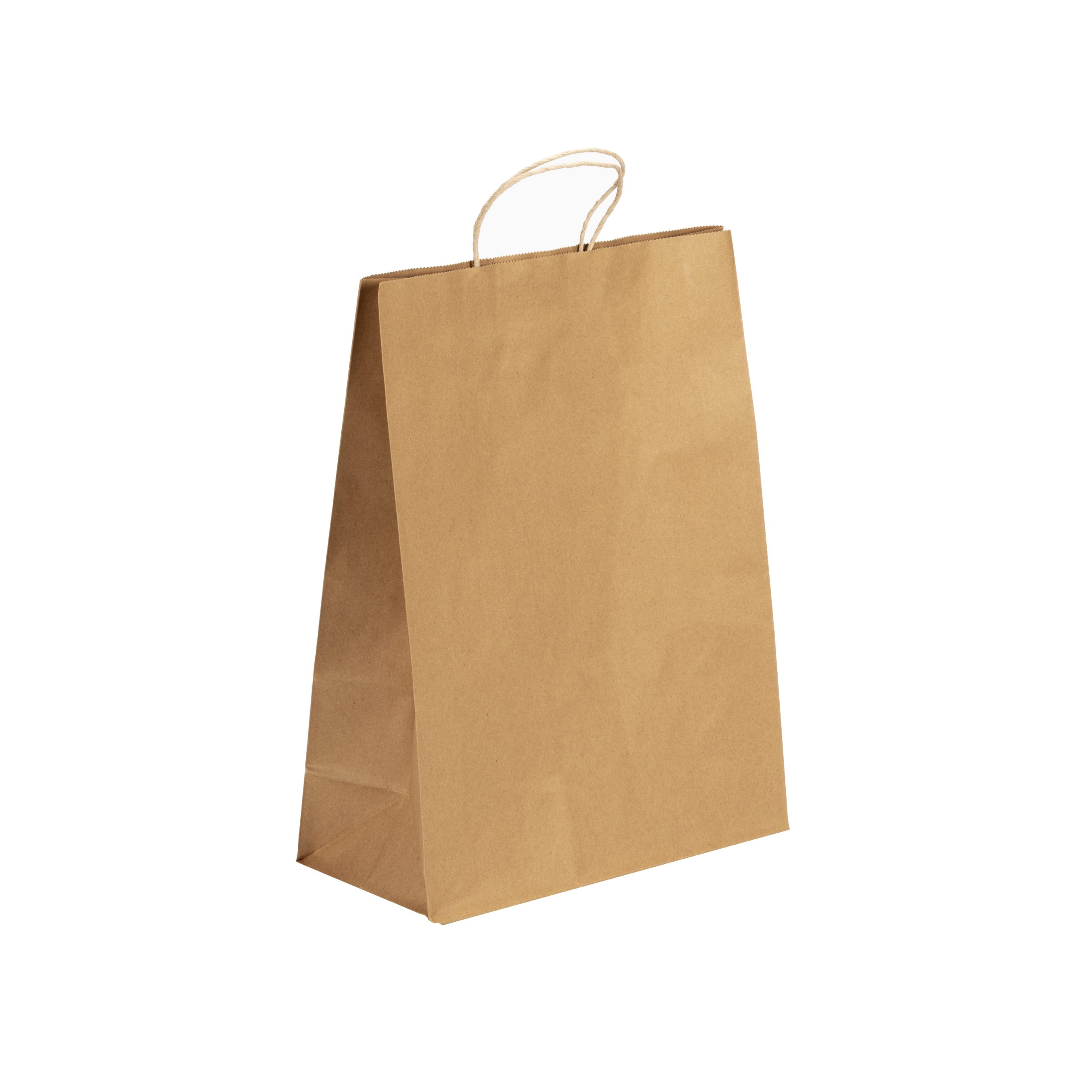 Medium Paper Bag-255x125x310mm